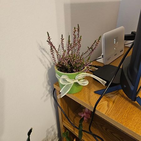 Apartman Noa 克宁 外观 照片