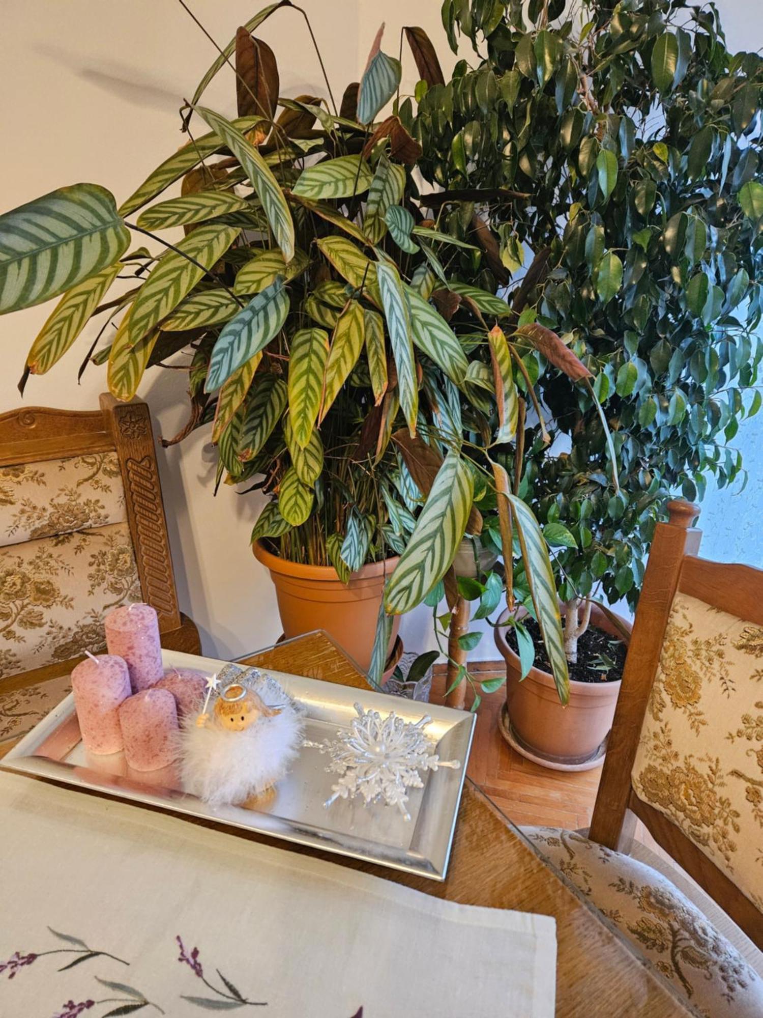 Apartman Noa 克宁 外观 照片